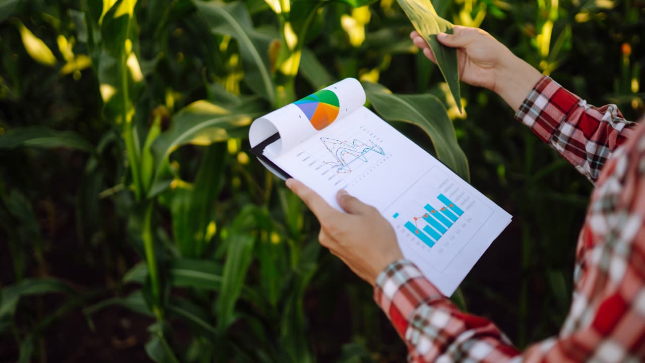 Growers Cooperative, Harvest House & SourceAg Partner for AI-Driven Ag Forecasting