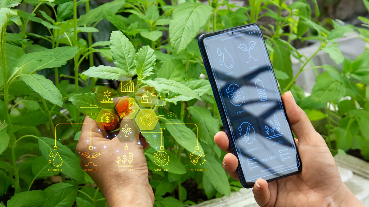 Nakuru County Launches AI Tool to Revolutionize Agriculture and Boost Food Security