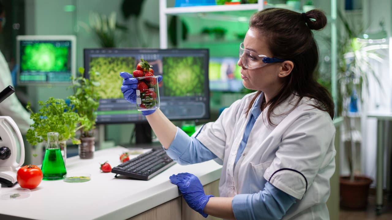 AI Predicts E. coli Antibiotic Resistance in Agriculture